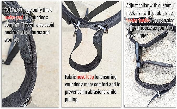 No-Pull Dog Headcollar – Stops Sudden & Constant Pulling on the Leash, Gentle & Effective Training Collar for Large & Small Dogs – No Choking or Pinching, Comfortable & Safe for Peaceful Walks (S)