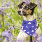 10PCS Small Dog Bandanas with Paw Print for XXS XS Small Dog Girl Boy in Red Blue Yellow Pink Purple White Black Green Scarves Grooming Accessories Costume