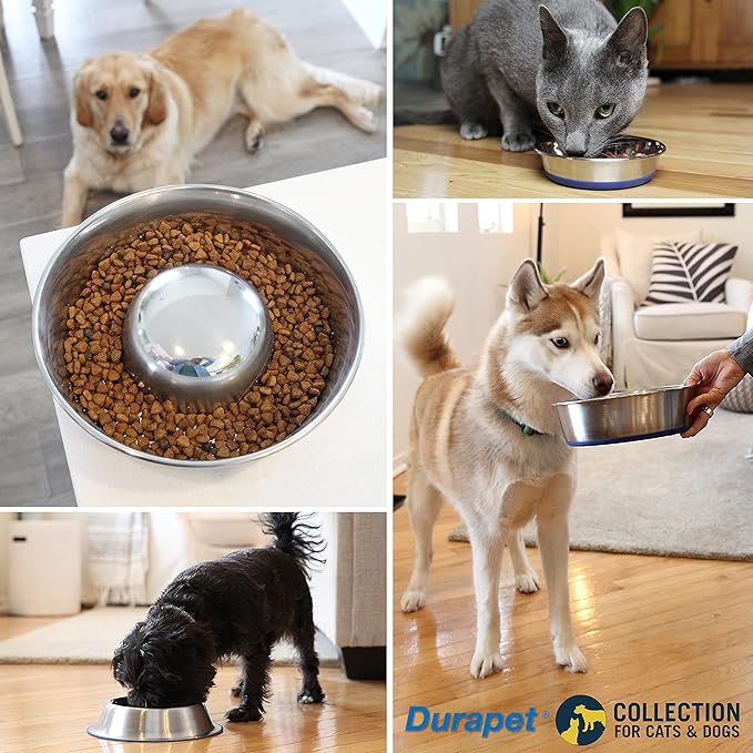 OurPet's DuraPet Premium Dishwasher Safe Stainless Steel Dog Bowl for Food or Water [Multiple Sizes for Small to Large Dogs] in Traditional or Wide Base Design - 8 CUP