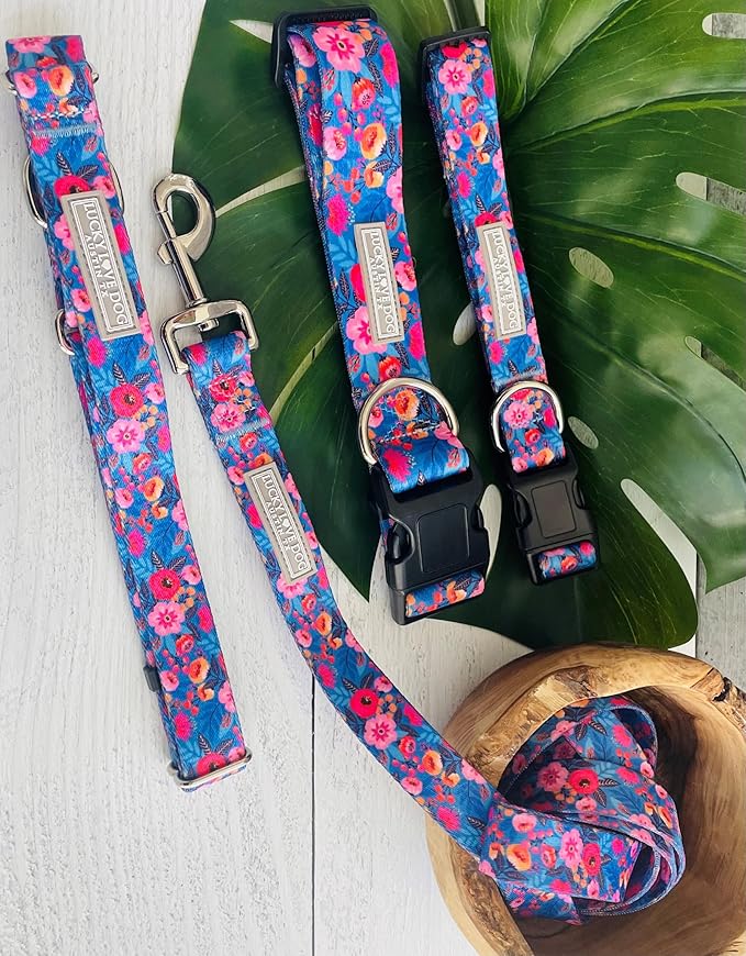 Lucky Love Dog Martingale Dog Collar - Adjustable, No-Slip, Durable, & Soft Webbing Collar for Male and Female Dogs Ideal for Training & Walking - Zuzu, Large