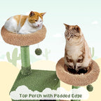 Yaheetech Cactus Cat Tree, 66?H Cat Tower for Indoor Cats, Multi-Level Cat Tree with Large Condos & Ramp, Pet Play House with Padded Perch, Platforms, Basket & Hanging Ball, Green/Brown