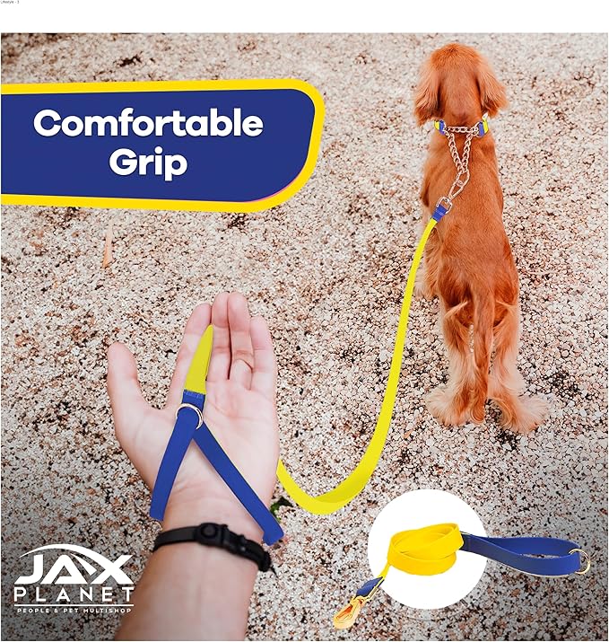 Jelly Colorful Dog Leash, Waterproof Training Leash for Walking, Hiking & Outdoor Activities, Non-Slip Grip, Anti-Odor Nylon Lead with Alloy O-Ring, Heavy Duty - M150, 5FT - Yellow & Blue