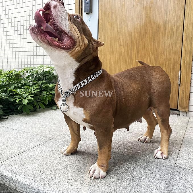 Adjustable Strong Lobster Clasps Dog Titan Collar Training Walking Metal Dog Duty Chew Proof for Medium Large Dogs American Pitbull German Shepherd