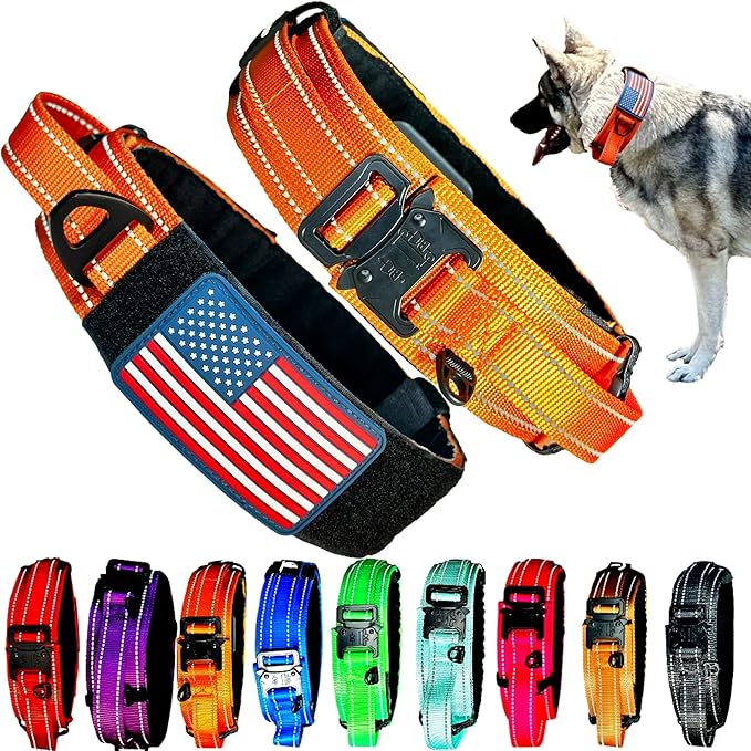 2-Inch Wide Tactical Dog Collar with Control Handle, Adjustable for Medium & Large Dogs, Military Style with Heavy-Duty Metal Buckle, USA Flag Patch & Customizable Name Plate, Training & Everyday Use