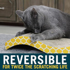Our Pets OurPets The Wave Curved Catnip Cat Scratcher (Cat Toys for Indoor Cats, Catnip Toys, Cat Gifts & Cat Toys Interactive) [Includes Cosmic Catnip- North-American Grown Catnip]
