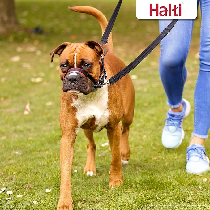 Halti Optifit Headcollar Size Medium & Halti Training Leash Size Large, Black Combination Pack - Stop Your Dog Pulling on the Leash. Adjustable with Padded Nose Band. Suitable for Medium Dogs
