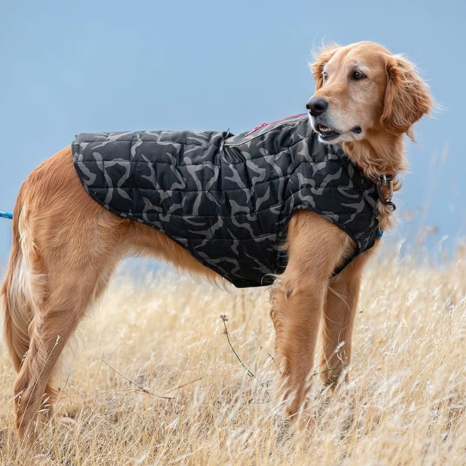 Kurgo Loft Dog Jacket, Reversible Dog Coat, Wear with Harness or Sweater, Water Resistant, Reflective, Winter Coat for Small Dogs (River Run, S)