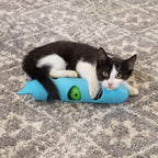 Kitty City Deluxe and Basic Cat Toy Box, Scratcher Ball Track, Cat Toys, Blue, (CM-10116)