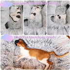 XxingSheep 4 Cave Shuttled XL Cat Tunnel Bed for Indoor Cats Peekaboo Toy Donut with Warm Mat