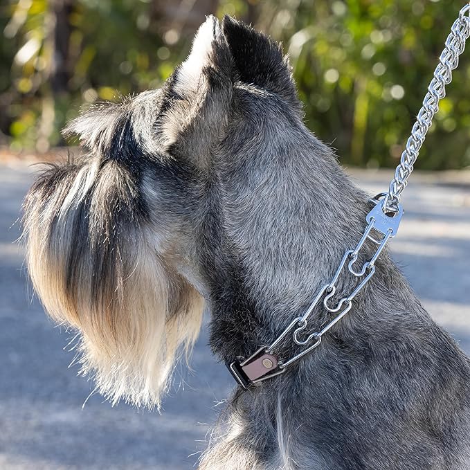 Herm Sprenger Chrome Plated Steel Dog Collar with Quick Release ClicLock Buckle and Biothane Insert Training Collar for Dogs Made in Germany (Pastel Purple, 23in x 3.2mm(Neck Size up to19-20in))