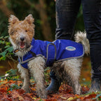 WeatherBeeta ComFiTec Premier Free Parka Deluxe Dog Coat Medium, Dark Blue/Grey/White, 26"
