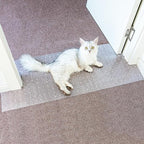 Carpet Protector for Pets Carpet Protector for Doorway, Anti Scratch Under Door Cat Scratch Protector Mat, Cat Barrier Mat Easy to Cut Plastic Stopper (Clear, 3.6FT-2pack)