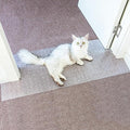 Carpet Protector for Pets Cat Carpet Protector for Doorway, Anti Scratch Under Door Cat Scratch Protector Mat, Easy to Cut Plastic Stopper (Clear, 5.2FT-1pack)