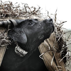 SportDOG WetlandHunter 425X Remote Trainer - Reliable Off-Leash Control - Rechargeable - Waterproof DryTek Technology - Adjustable Training Collar - Camouflage - 500-Yard Range, 2 Collars