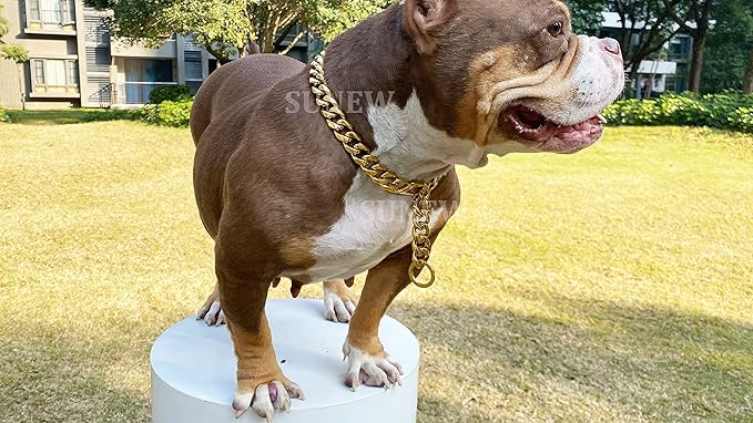 Adjustable Stainless Steel 19MM Gold Plated Dog Titan Collar Necklace Training Walking Metal Dog Duty Chew Proof for Small Medium Large Dogs American Pitbull German Shepherd (19MM*26inch, Gold)
