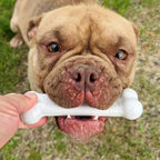 Nylabone Original Bone Power Chew Toy for Dogs, Durable & Tough Dog Toys for Aggressive Chewers, Chicken Flavor, Small - Up to 25 Ibs, 1 Count