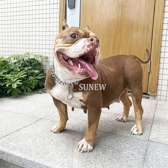 Adjustable Strong Lobster Clasps Dog Titan Collar Training Walking Metal Dog Duty Chew Proof for Medium Large Dogs American Pitbull German Shepherd