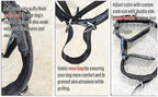 No-Pull Dog Headcollar – Stops Sudden & Constant Pulling on the Leash, Gentle & Effective Training Collar for Large & Small Dogs – No Choking or Pinching, Comfortable & Safe for Peaceful Walks (L)