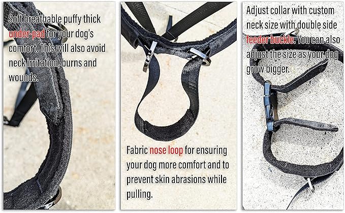 No-Pull Dog Headcollar – Stops Sudden & Constant Pulling on the Leash, Gentle & Effective Training Collar for Large & Small Dogs – No Choking or Pinching, Comfortable & Safe for Peaceful Walks (L)