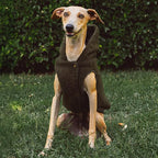 Tuff Pupper Fleece Dog Hoodie Sweater | Teddy Sherpa Outer & Soft Polar Fleece Lining | Adjustable Fit Winter Coat with Hood, Leash Hole, Ribbed Cuffs | for Small Medium Large XL XXL Dogs (Olive, XS)