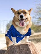 Pets First NFL Pets NFL Jerseys