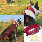 ADITYNA Heavy Duty Dog Collar for Large Dogs - Reflective Burgundy Collar with Handle for Training, and Walking - Wide, Thick, Tactical, Soft Neoprene Padded