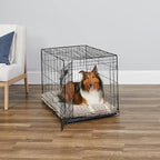 MidWest Homes for Pets 36-Inch iCrate for Medium-Large Breeds, 41-70 lbs, Single Door Folding Dog Crate with Divider Panel, Leak-Proof Tray & Secure Latches, Portable, Durable & Easy to Assemble