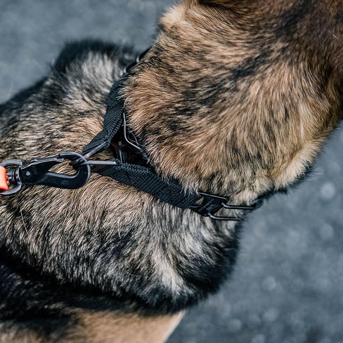 Herm. Sprenger Ultra-Plus Dog Training Prong Collar ClipOn Buckle German Made Black Stainless Steel (2.25 mm x 13" Neck Size; 16" Chain Length)