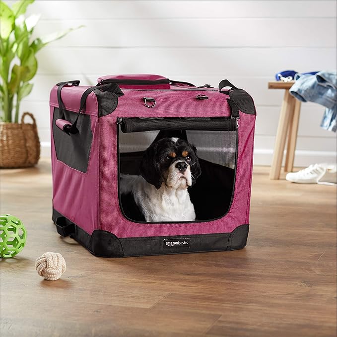 Amazon Basics Folding Portable Soft Pet Dog Crate Carrier Kennel, 26 x 18 x 18 inches, Red