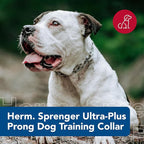 Herm SPRENGER Ultra-Plus Prong Dog Training Collar, 4 mm x 21" Neck Size, 4 mm x 25" Chain Length, Steel Chrome Plated Dog Prong Collar, Pinch Collar for Dogs, Dog Correction Collar