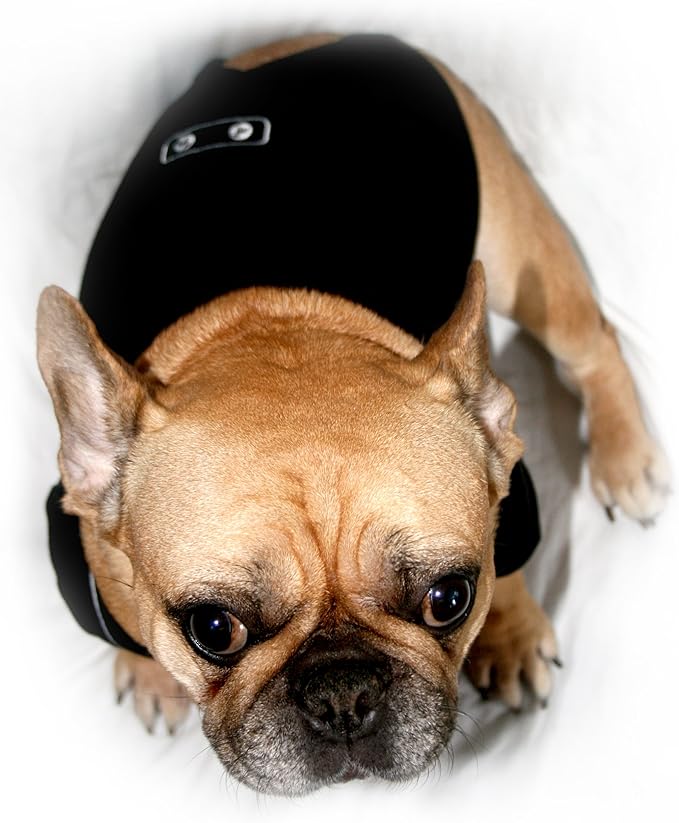 Frenchie Mini Couture Dog Tuxedo, (Medium)