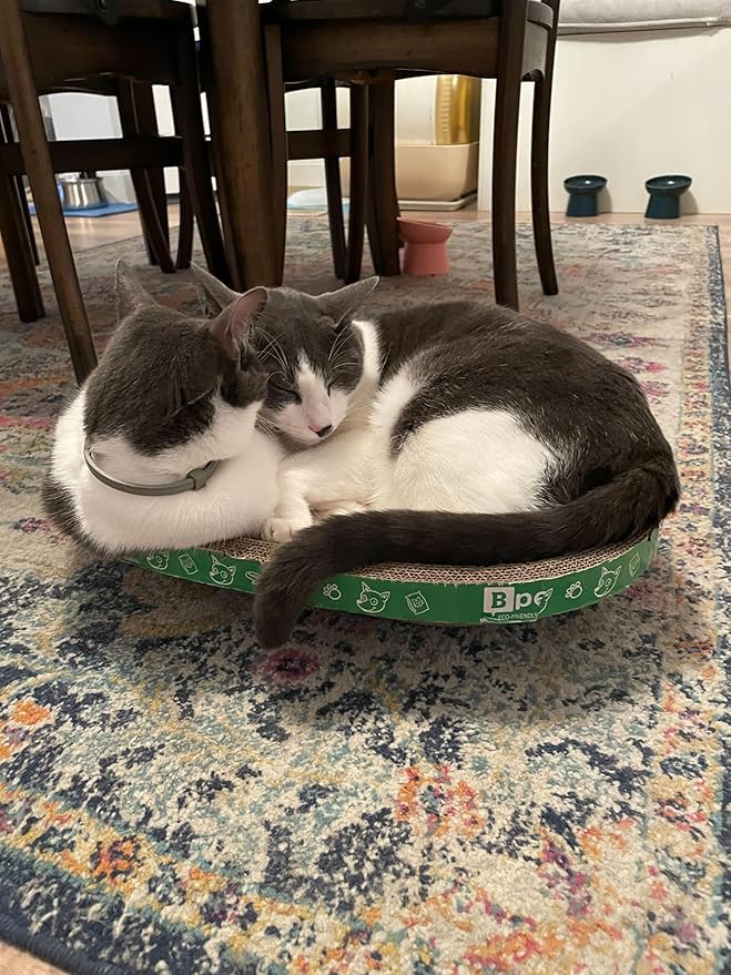 Cat Scratcher Lounge Cardboard Bed – Sturdy Oval Shape for Claw Care and Comfort