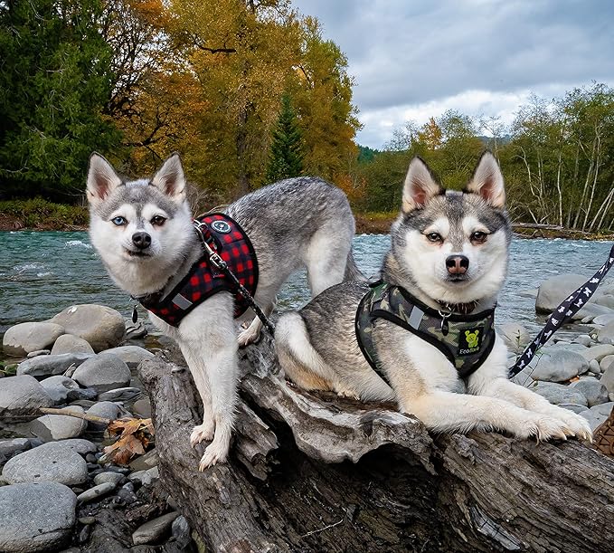 EcoBark Step in Dog Harness - Eco-Friendly Teacup Dog Harnesses for XXS, XS, and Small Dogs - Reflective and Adjustable Mini Body Halter Vest -Tiny Soft Mesh Toy Breed Harness (XXXS, Plaid)