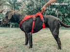 Tuff Pupper Escape Proof No Escape Dog Harness | 5 Point Adjustable Fit Harness for Dogs | Padded Dog Harnesses | Handle Dog Lift Harnesses