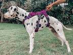 Tuff Pupper Escape Proof No Escape Dog Harness | 5 Point Adjustable Fit Harness for Dogs | Padded Dog Harnesses | Handle Dog Lift Harnesses