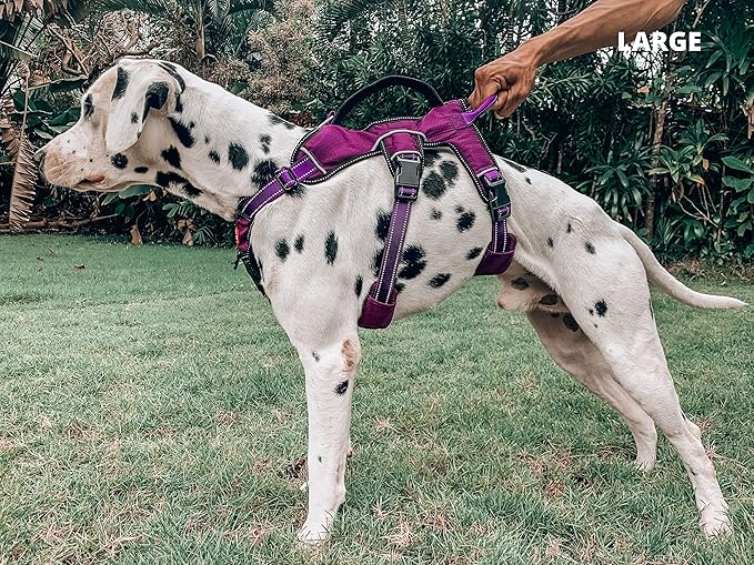 Tuff Pupper Escape Proof No Escape Dog Harness | 5 Point Adjustable Fit Harness for Dogs | Padded Dog Harnesses | Handle Dog Lift Harnesses