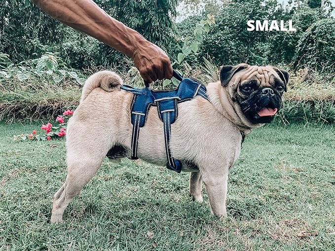 Tuff Pupper Escape Proof No Escape Dog Harness | 5 Point Adjustable Fit Harness for Dogs | Padded Dog Harnesses | Handle Dog Lift Harnesses