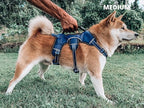 Tuff Pupper Escape Proof No Escape Dog Harness | 5 Point Adjustable Fit Harness for Dogs | Padded Dog Harnesses | Handle Dog Lift Harnesses