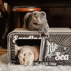 SARDINE - Cardboard Cat Scratcher - 60 x 30x 30 cm - White, Black and Pink - Color: Black