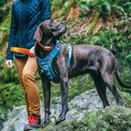 Kurgo Journey Air Dog Harness - Secure Fit for Active Dogs - Padded Chest - Lightweight Ripstop Fabric - Breathable Mesh - Reflective Trim - Back Assist Handle - Coastal Blue - Small