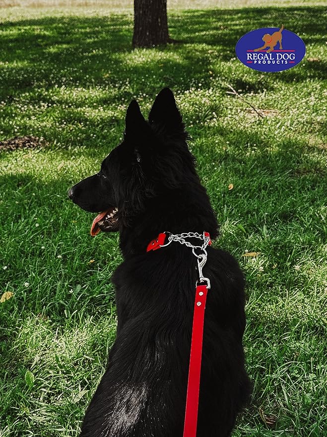 Regal Dog Products Martingale Collar for Dogs - Waterproof Biothane Collar for Small, Medium, Large Dogs - Limited Cinch Heavy Duty Chain for No Pull Dog Walking and Pet Training (Medium, Orange)