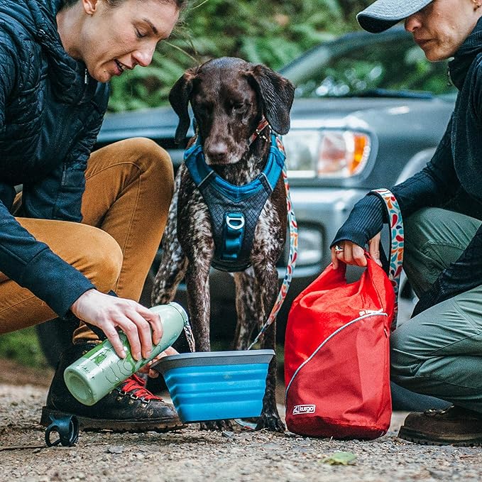 Kurgo Kibble Carrier - Portable Kibble Carrier - Compact Travel Storage - Dog Food Dry Bag - Camping Dog Storage - 5 lb Capacity - Chili Red