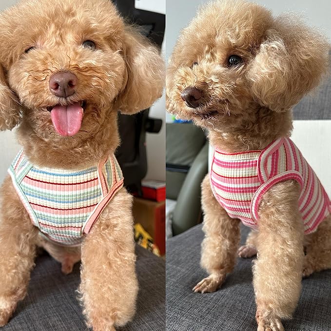 Dog Shirts Vest Cotton Striped T-Shirt, Sleeveless Stretchy Pet Clothes for Small Dogs, 2-Pack Soft Breathable Puppy Tank Top Cat Tee (Small, Pink,Rose)