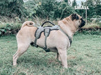 Tuff Pupper Escape Proof No Escape Dog Harness | 5 Point Adjustable Fit Harness for Dogs | Padded Dog Harnesses | Handle Dog Lift Harnesses