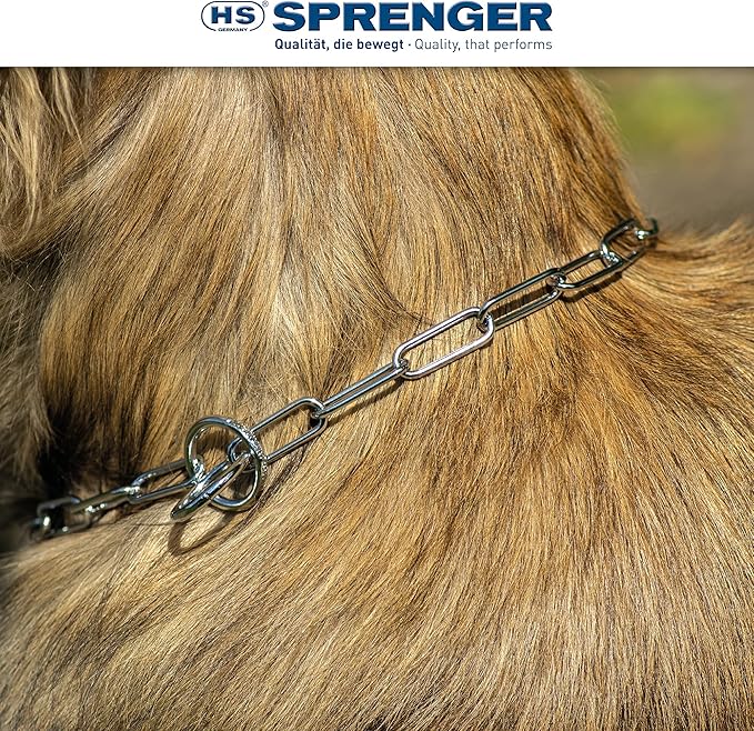 Herm Sprenger - Chrome Plated Steel Fur Saver Dog Collar - Long Link - Professional Training Collar for Small Petite Dogs - Puppy Collar - Correction Slip Chain - Made in Germany (19 inches (49 cm))