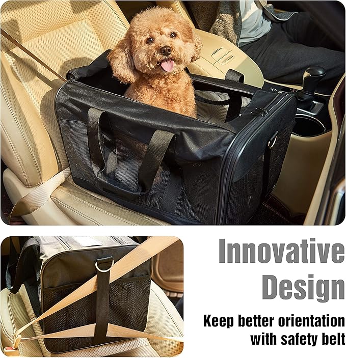 Pet Travel Carrier Soft Sided Portable Bag for Cats, Small Dogs, Kittens or Puppies, Collapsible, Durable, Airline Approved, Travel Friendly (Black Regular)