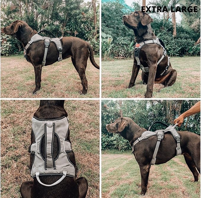Tuff Pupper Escape Proof No Escape Dog Harness | 5 Point Adjustable Fit Harness for Dogs | Padded Dog Harnesses | Handle Dog Lift Harnesses