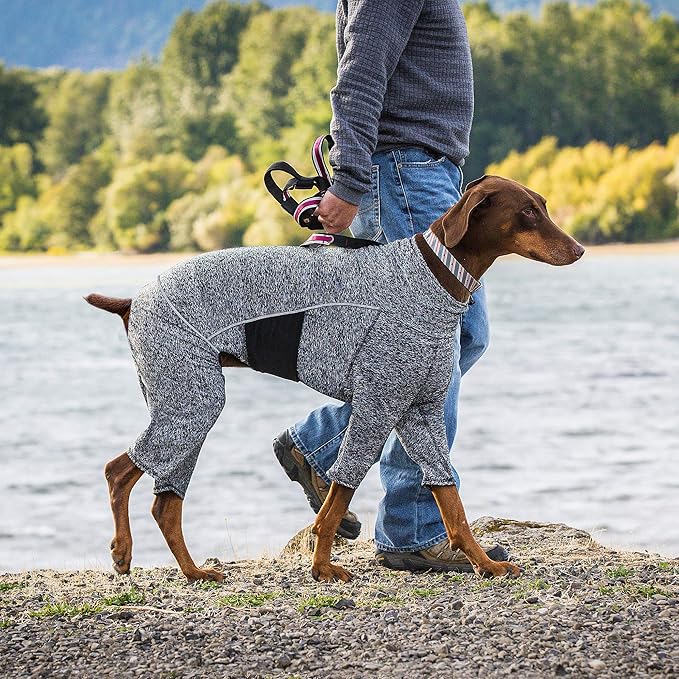 Kurgo Stowe Base Layer - Comfortable, Cold-Weather Pet Wear - Breathable Snug Fit - Dual-Zipper Dog Onesie - Reflective Side Seams - Dog Pajamas - Machine Washable - Small - Black/Grey