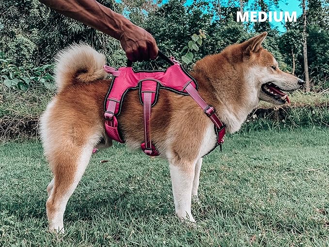 Tuff Pupper Escape Proof No Escape Dog Harness | 5 Point Adjustable Fit Harness for Dogs | Padded Dog Harnesses | Handle Dog Lift Harnesses